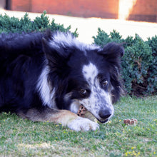 Load image into Gallery viewer, Hex A Bone