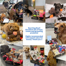 Load image into Gallery viewer, Gourmet Doggy Popcorn