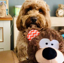 Load image into Gallery viewer, Rosewood Super Tough Rope Core Plush Bear with squeaker