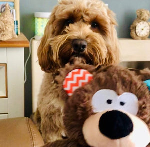Rosewood Super Tough Rope Core Plush Bear with squeaker