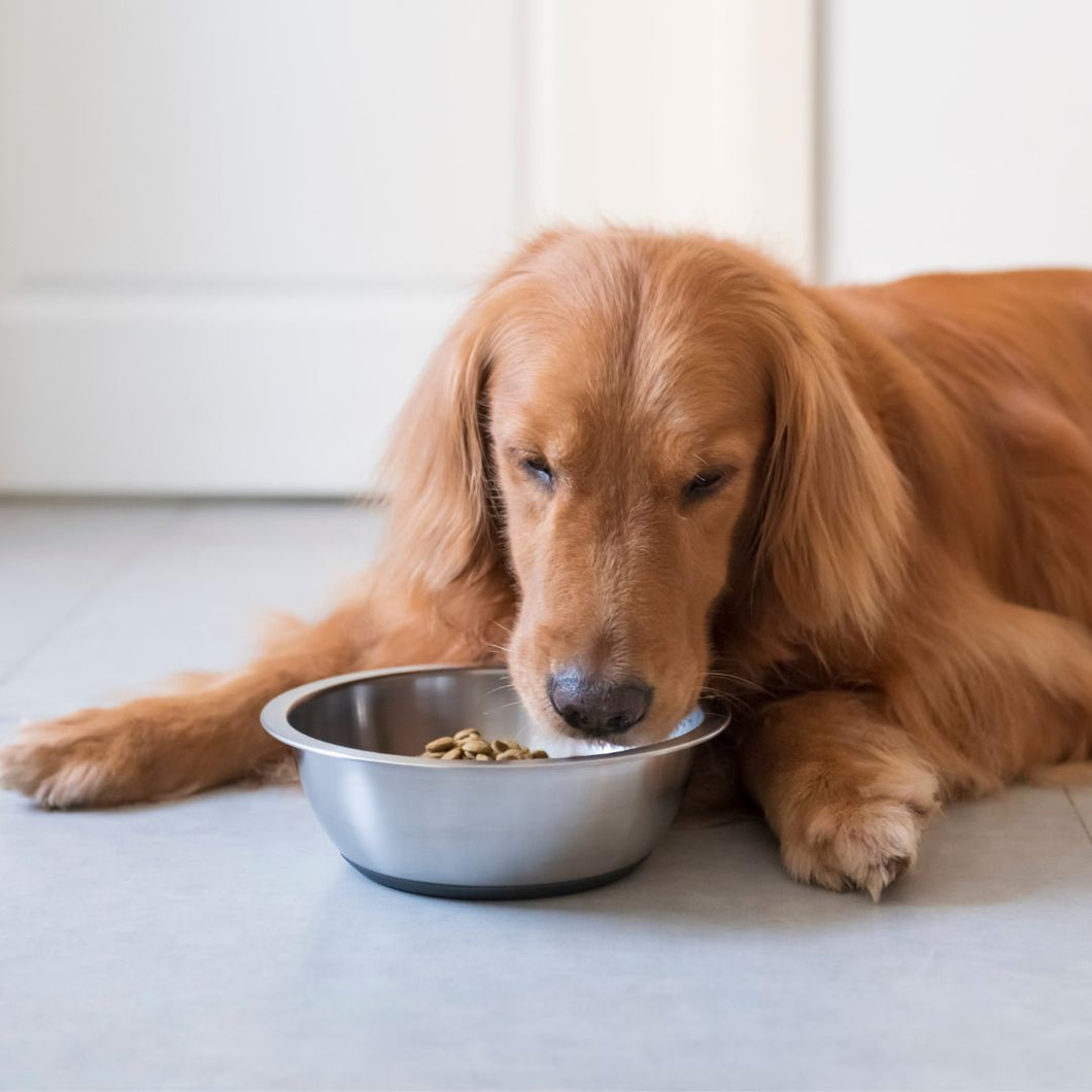 Senior Dog Food - Grain Free, made with Chicken, Sweet Potato And Vegetable. Suitable for Sensitive Stomachs