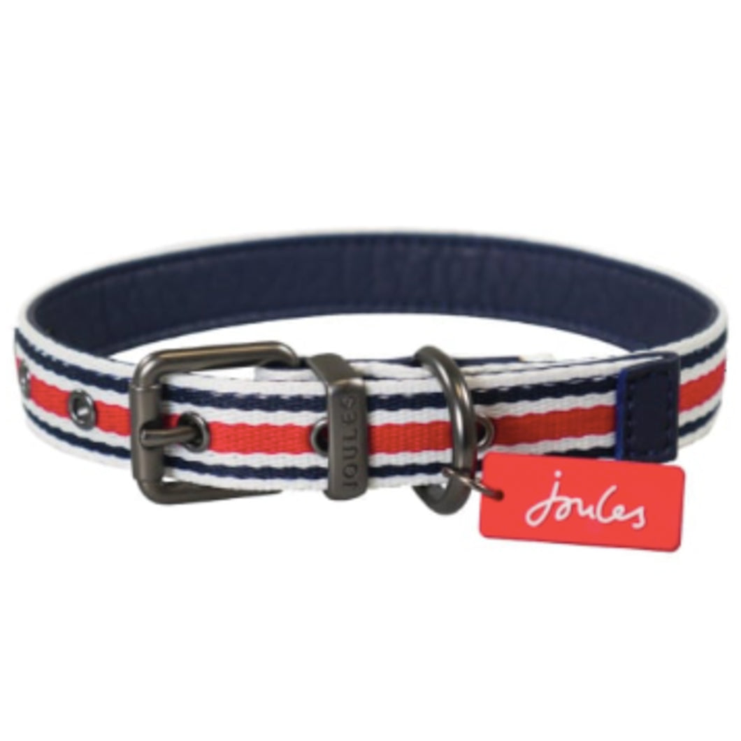Joules Nautical Dog Collar - Large