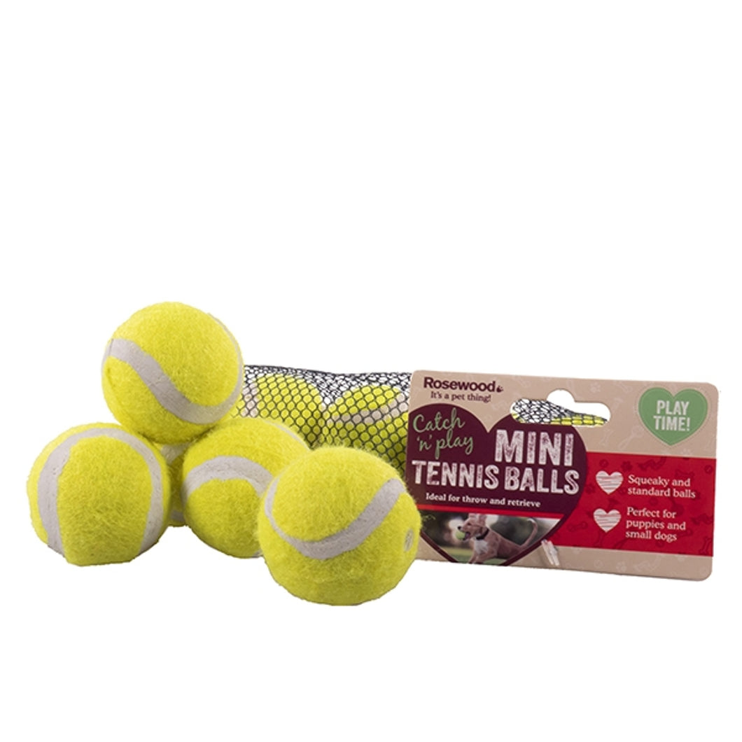 5 pack extra small tennis balls - Small dog / Puppy