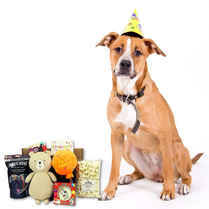 DOG BIRTHDAY PRESENT - Birthday 6 item Hamper