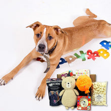 Load image into Gallery viewer, DOG BIRTHDAY PRESENT - Birthday 6 item Hamper