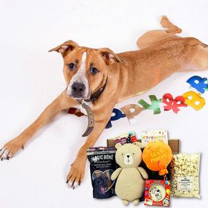 DOG BIRTHDAY PRESENT - Birthday 6 item Hamper