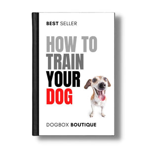 How to train your Dog