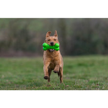 Load image into Gallery viewer, TOUGH CHEWER - 5 item Dog Gift Box