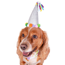 Load image into Gallery viewer, Happy Birthday Dog Bandana and Hat Set
