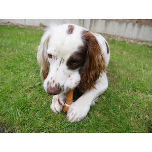 Rosewood Magic Bone Chicken (Rawhide free)