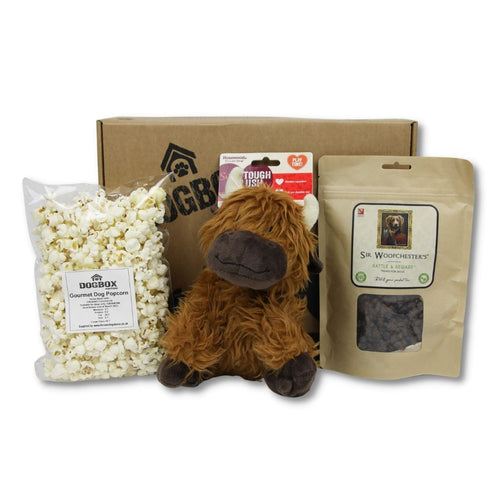 Rope Core Cow Toy and Treat Gift Box