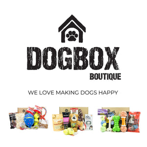 TOUGH CHEWER - 5 item Dog Gift Box